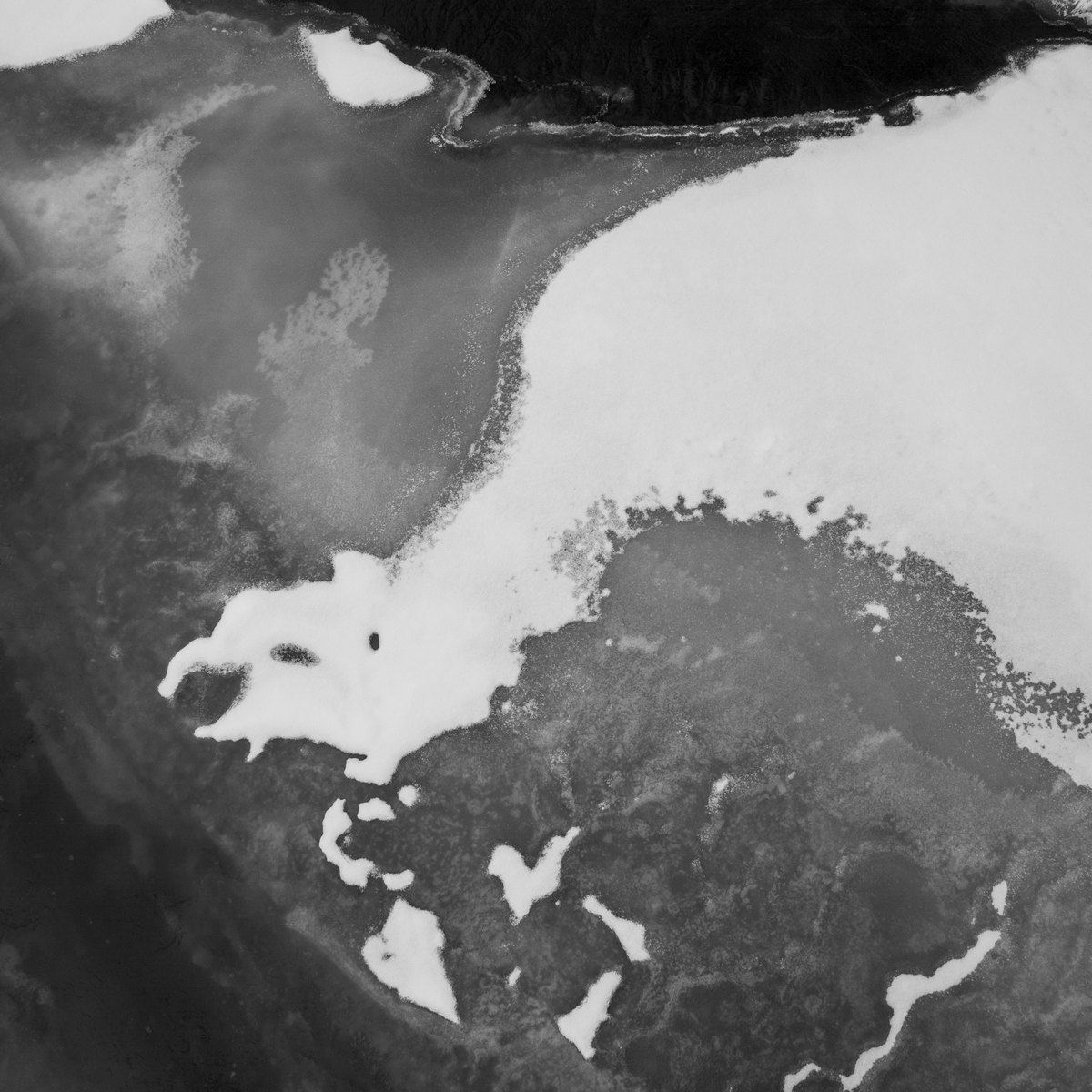 Жизнь вокруг