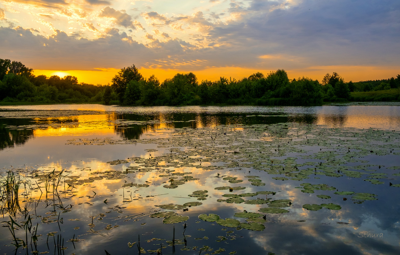 Летний вечер.