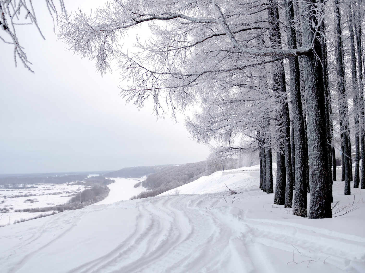 Зимний монохром