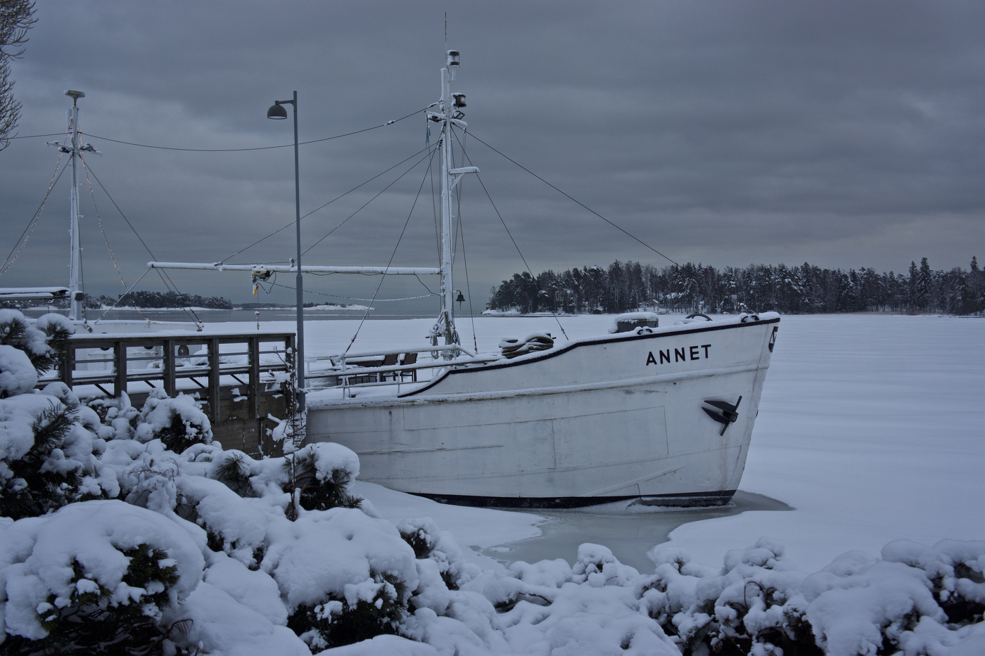 ОСТАВЛЕННАЯ «АННЕТ»