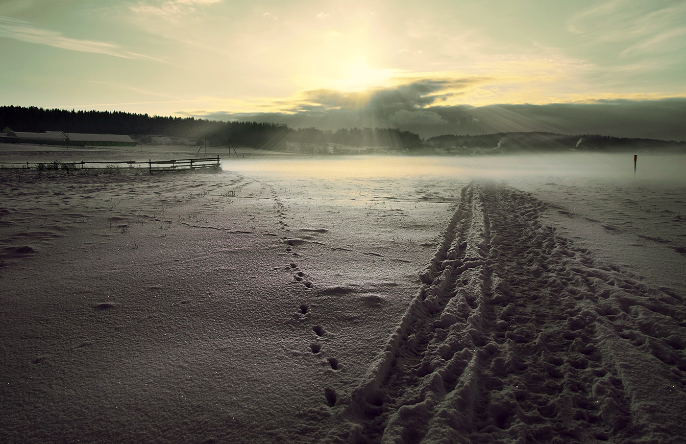 Зимний след