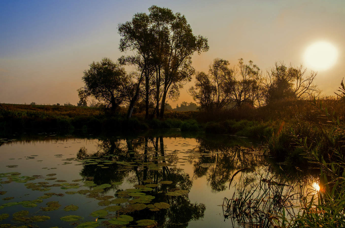 Осенние зарисовки.