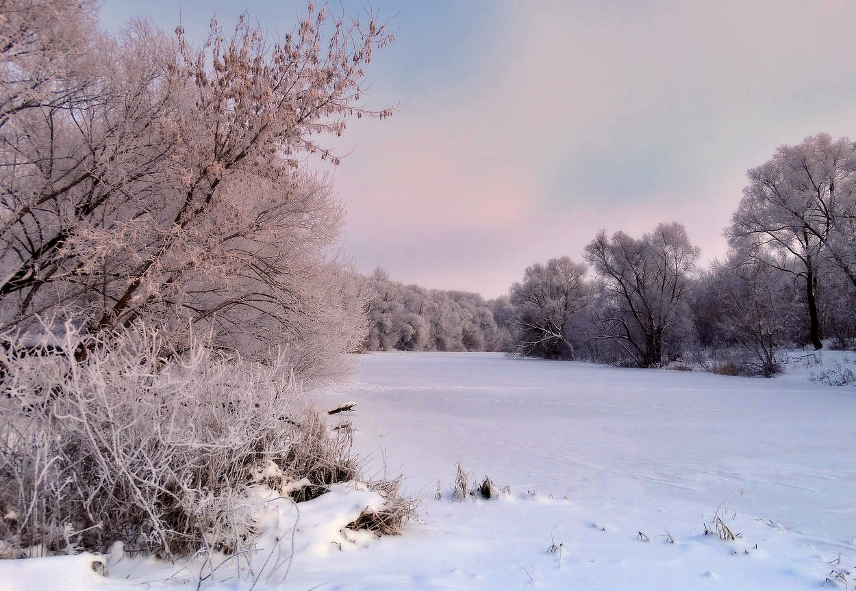 Розовый оттенок морозного утра