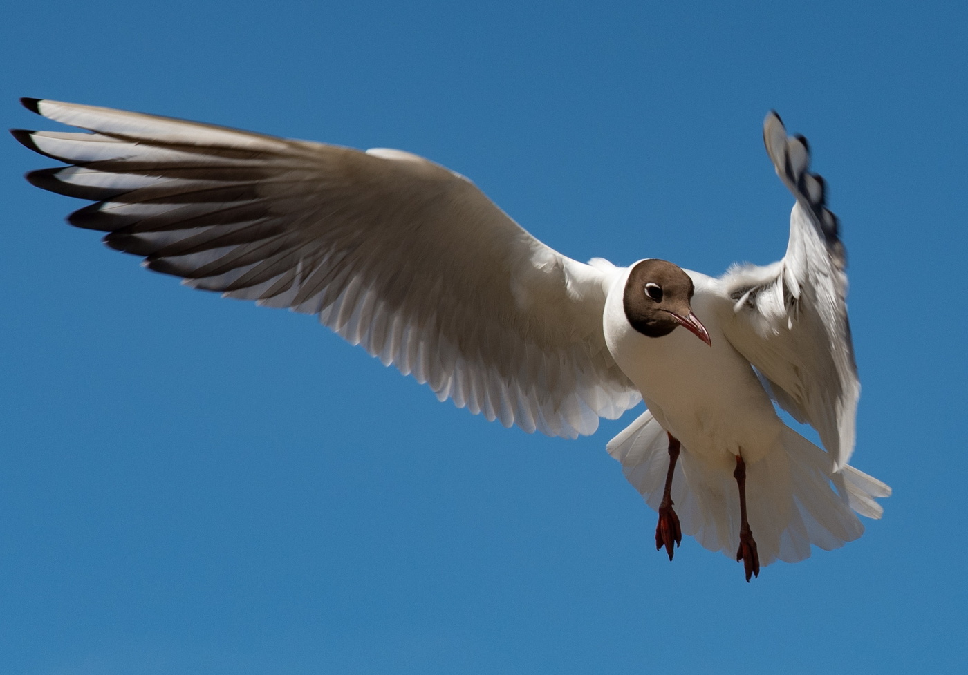 Пролетая над...