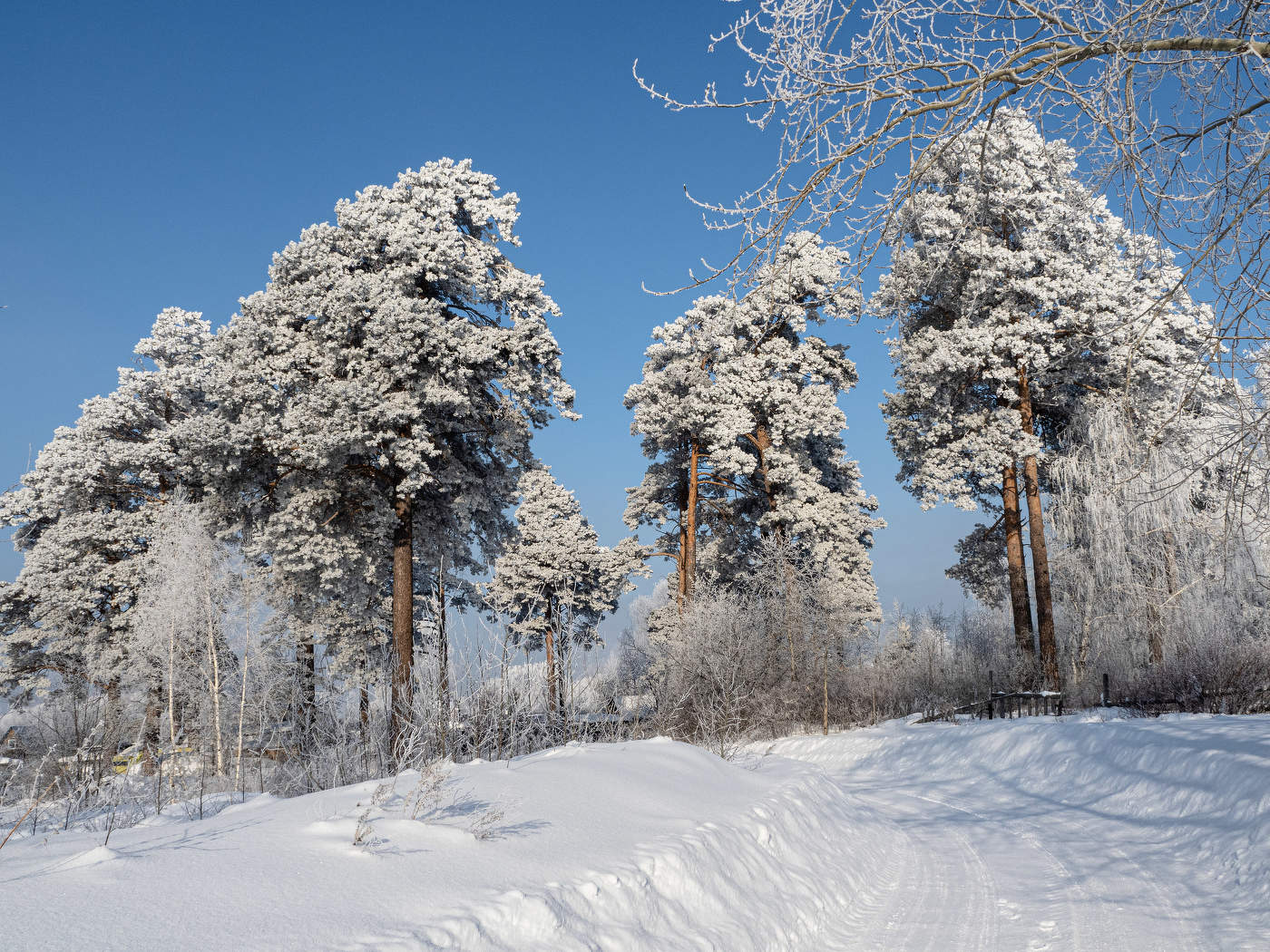 Зимние наряды