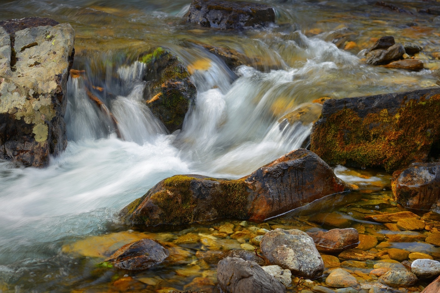 У горной реки