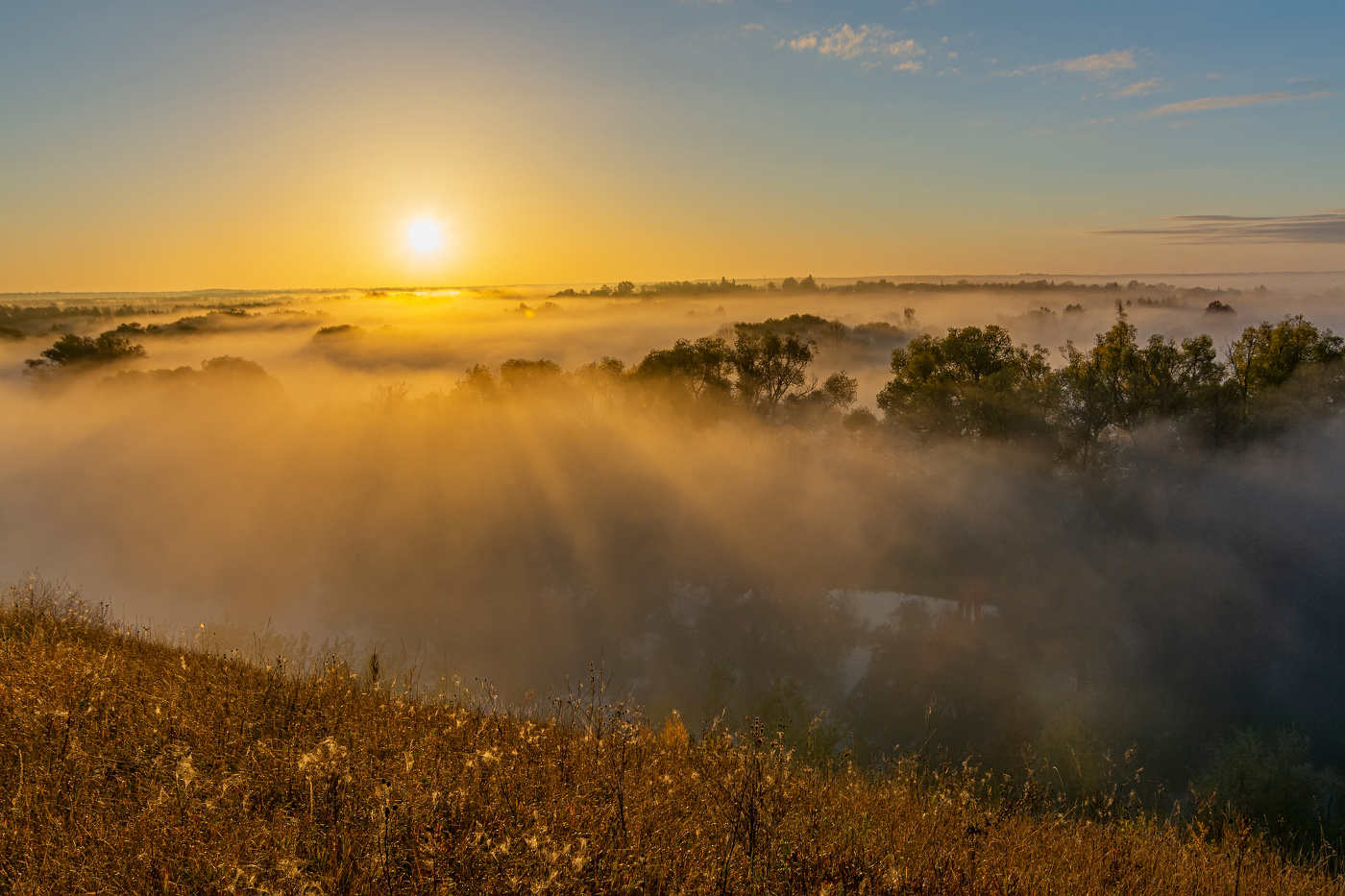 сквозь туман