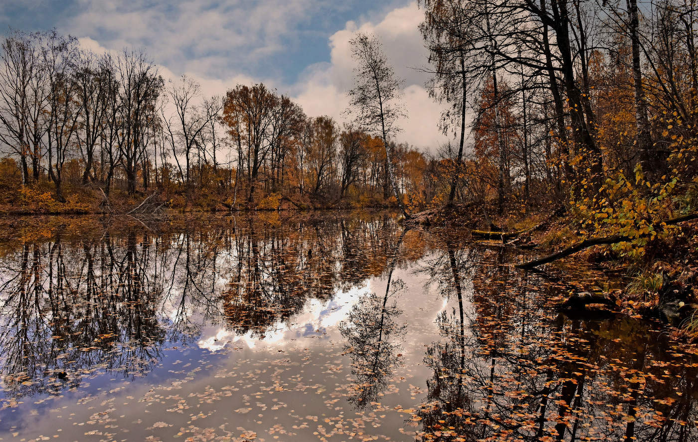УПЛЫВАЮЩАЯ ОСЕНЬ.