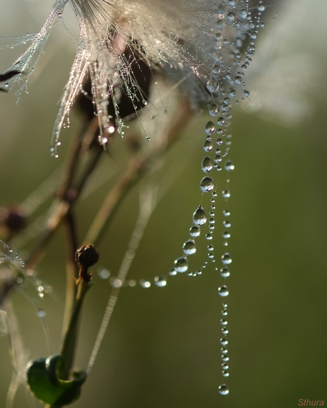 Красота природы.