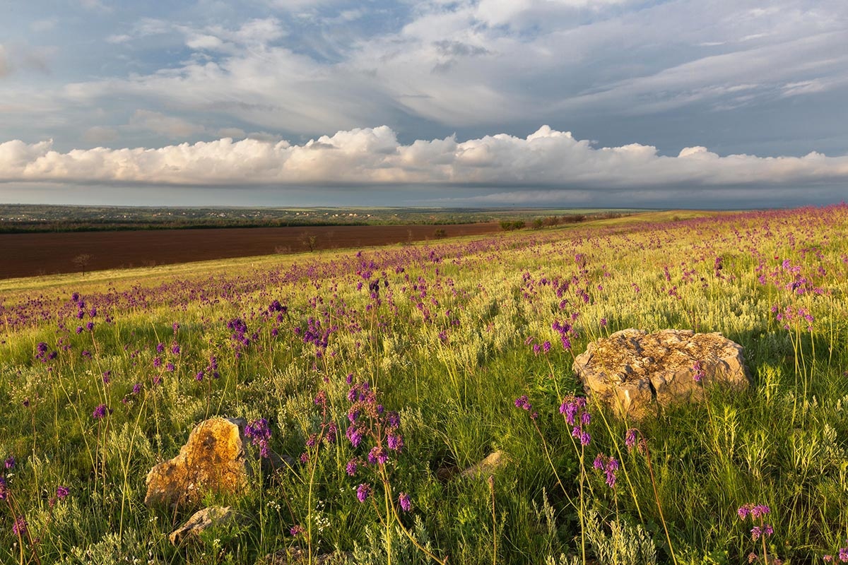 Далекие облака