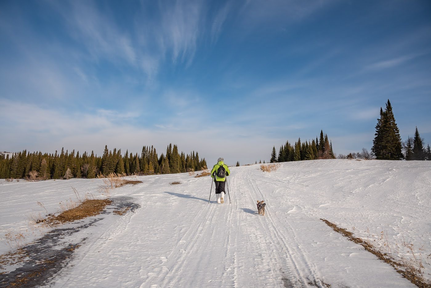 Дорога зовёт