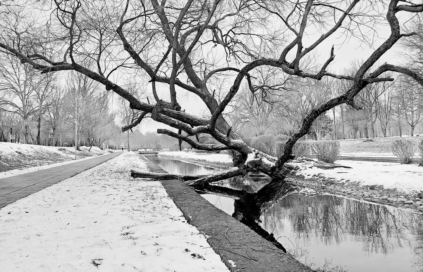 Минск. р-н Зелёный Луг.