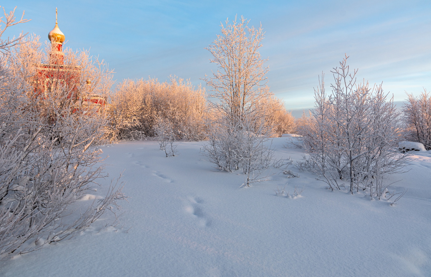 подсветило