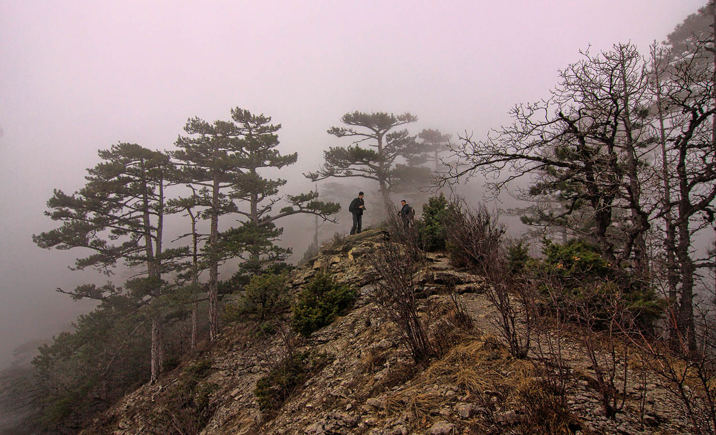 У Ставри-Кая