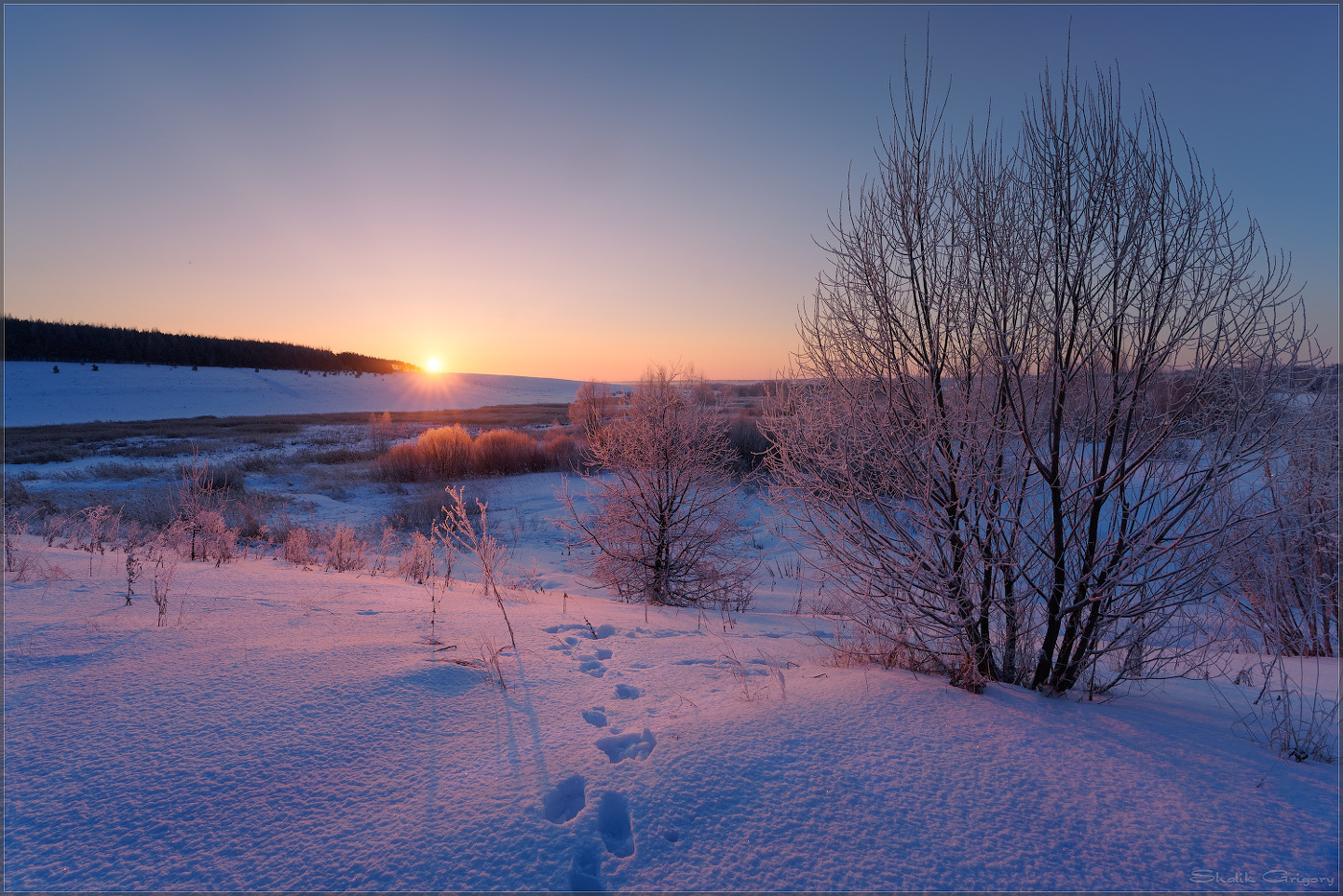 Фиолетовый рассвет