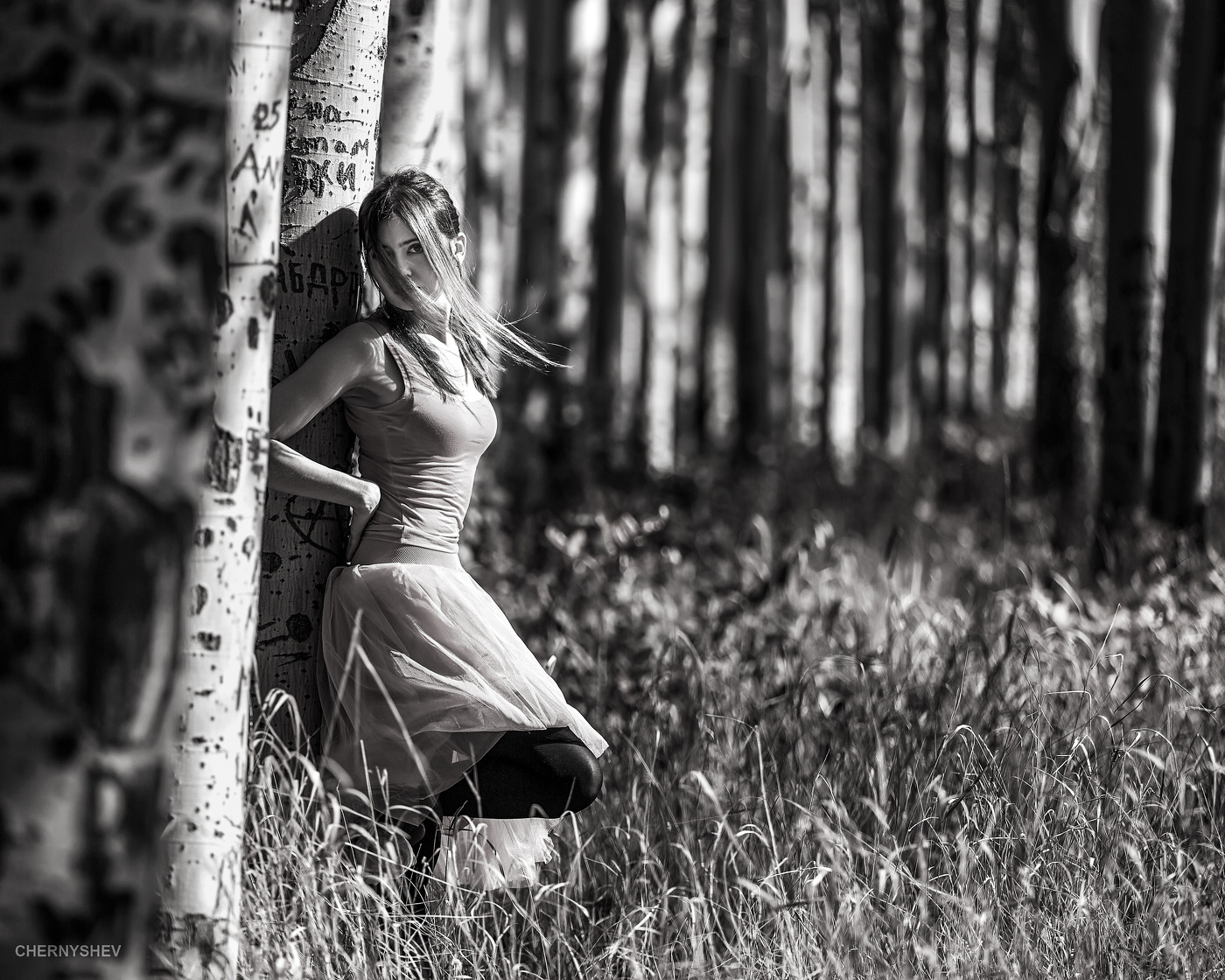 из альбома "упавшее Солнце".