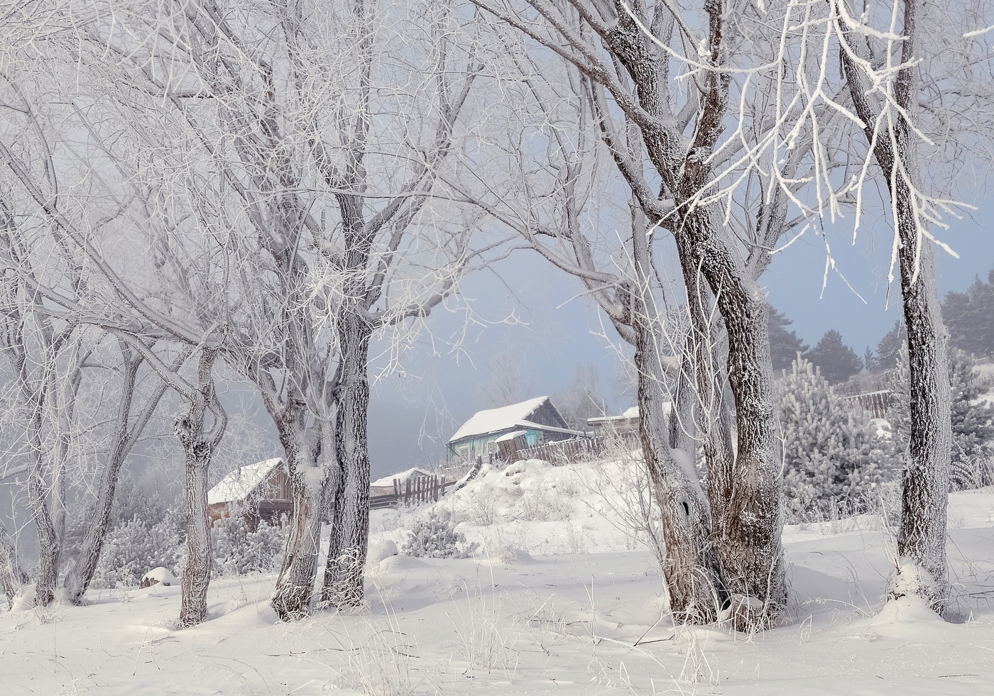 Когда деревья были большие...