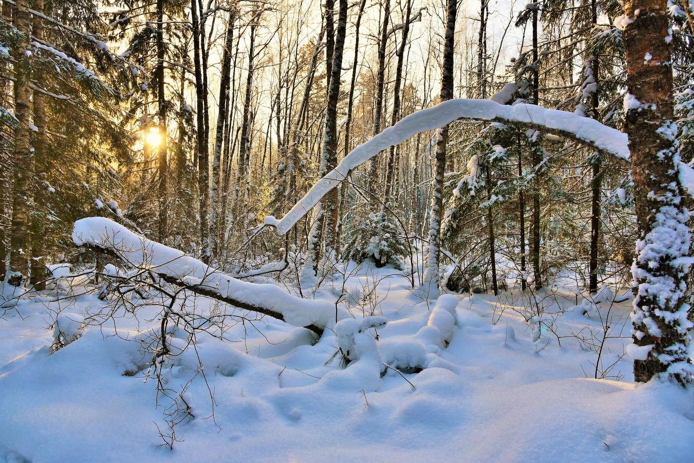 "Мороз и солнце - день чудесный ..."
