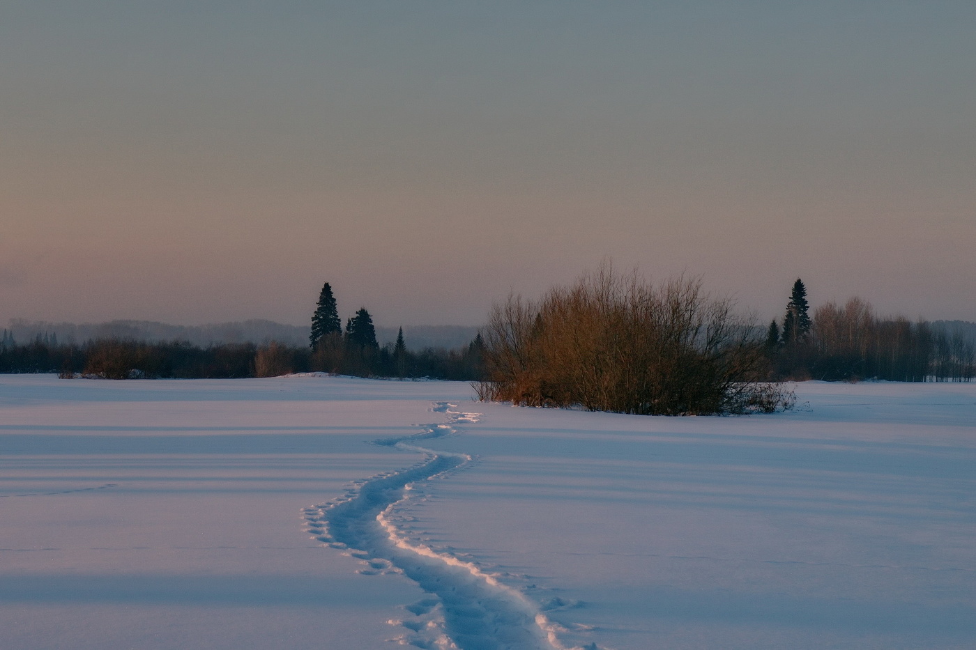 *Февральским вечером.**