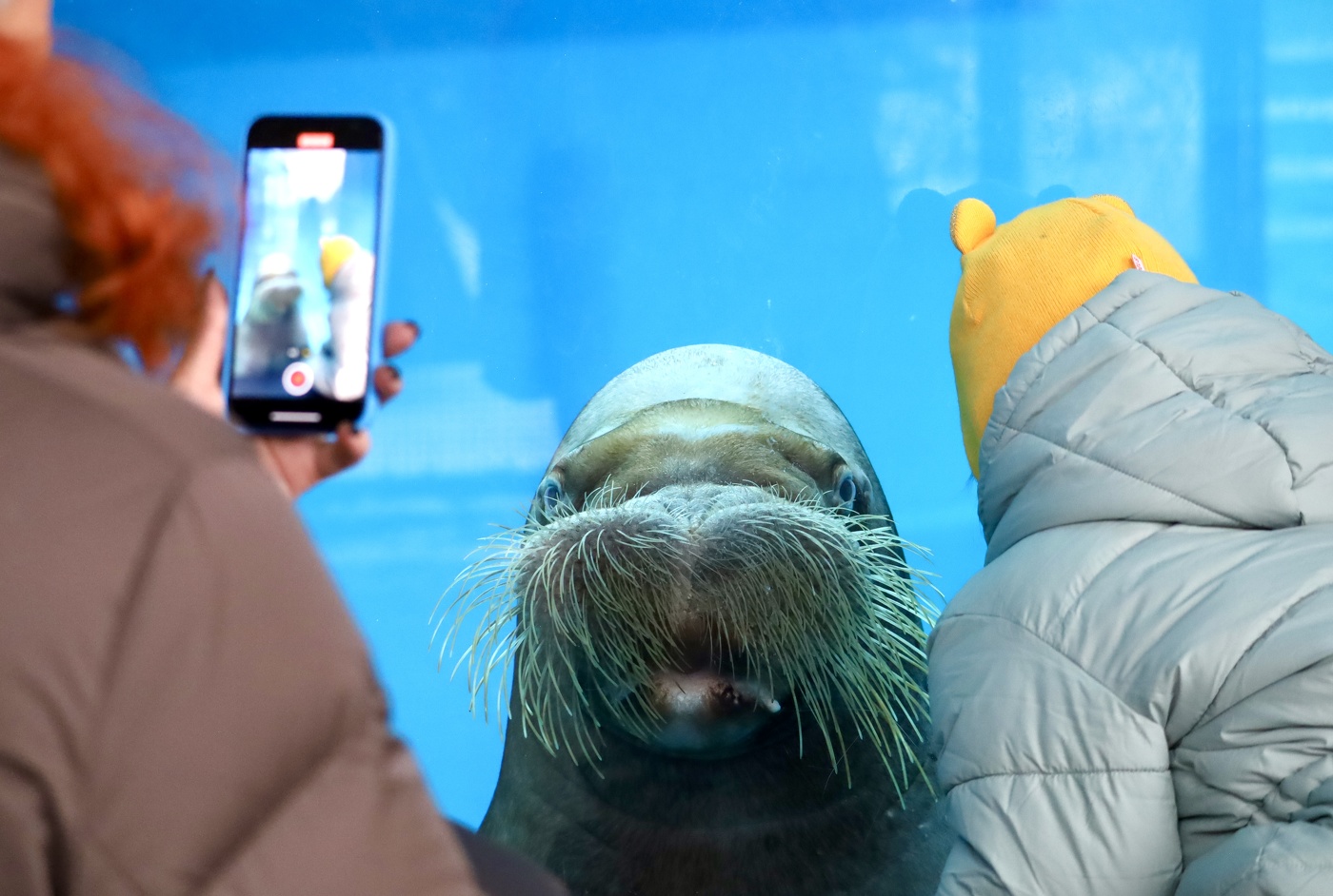 Фото на паспорт