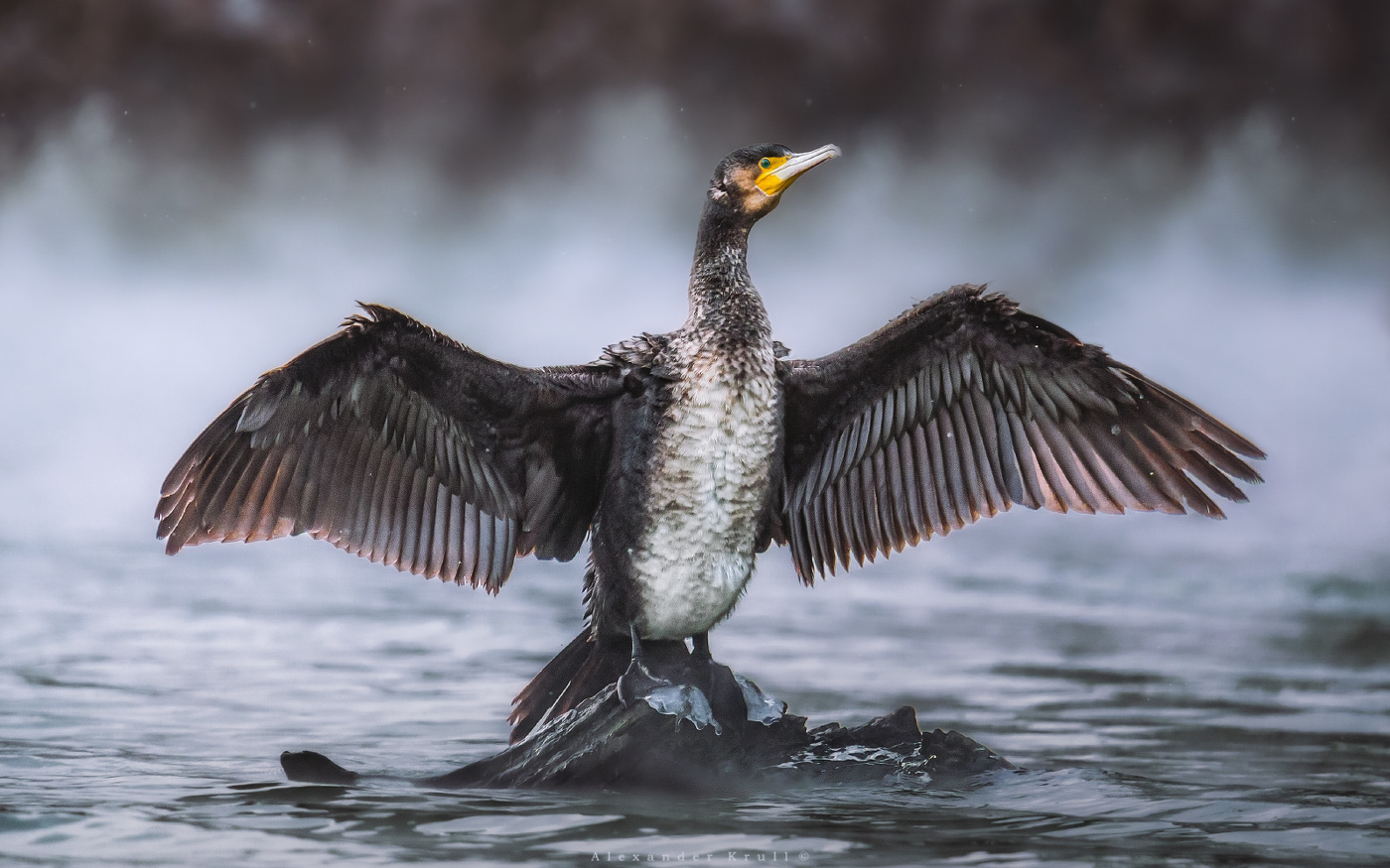 Настоящий рыбак!