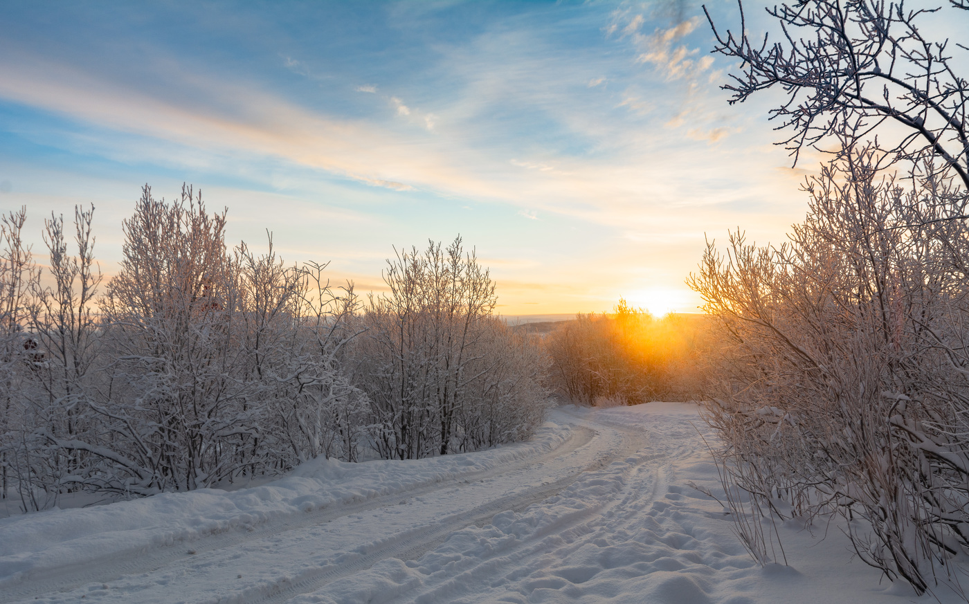 низкое зимнее солнце