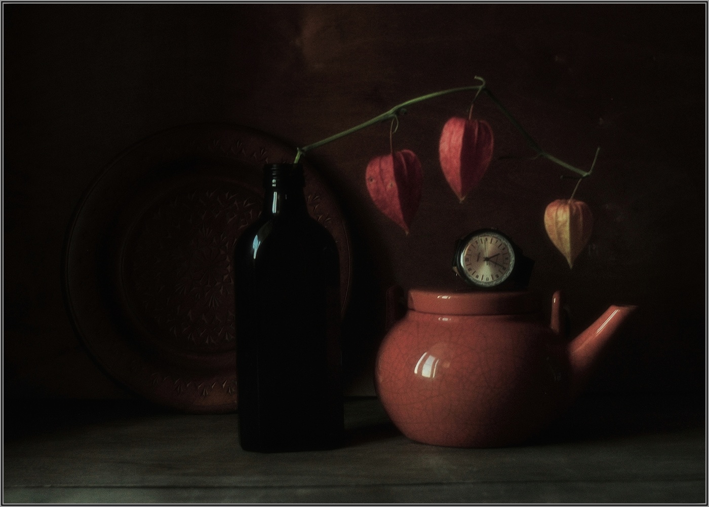 ..... Грустный физалис .....