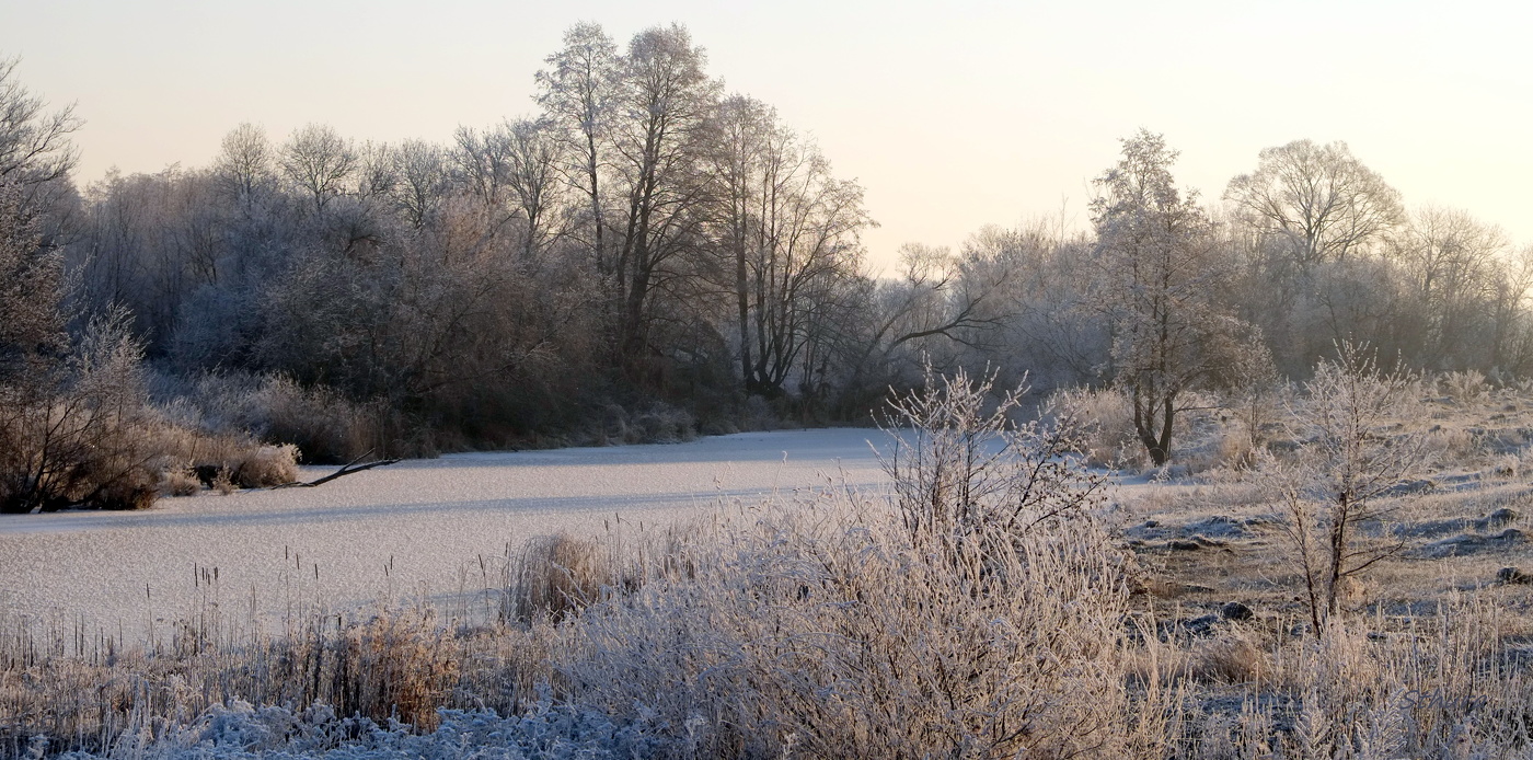 Осеннее утро.