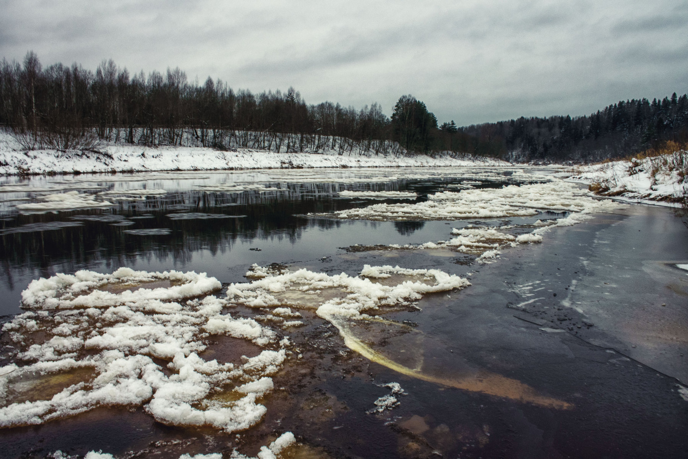 Жизнь вокруг