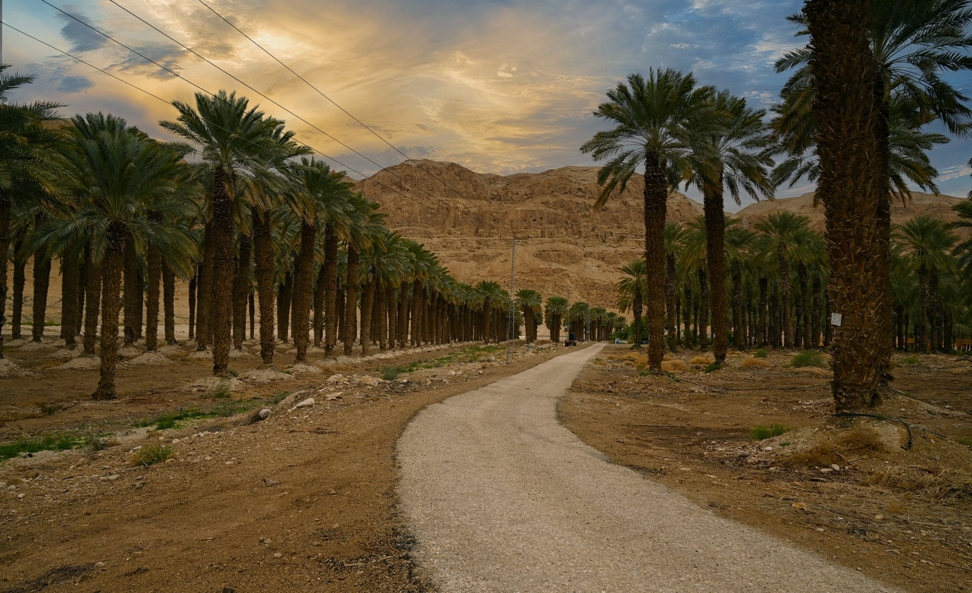 Рассветная история