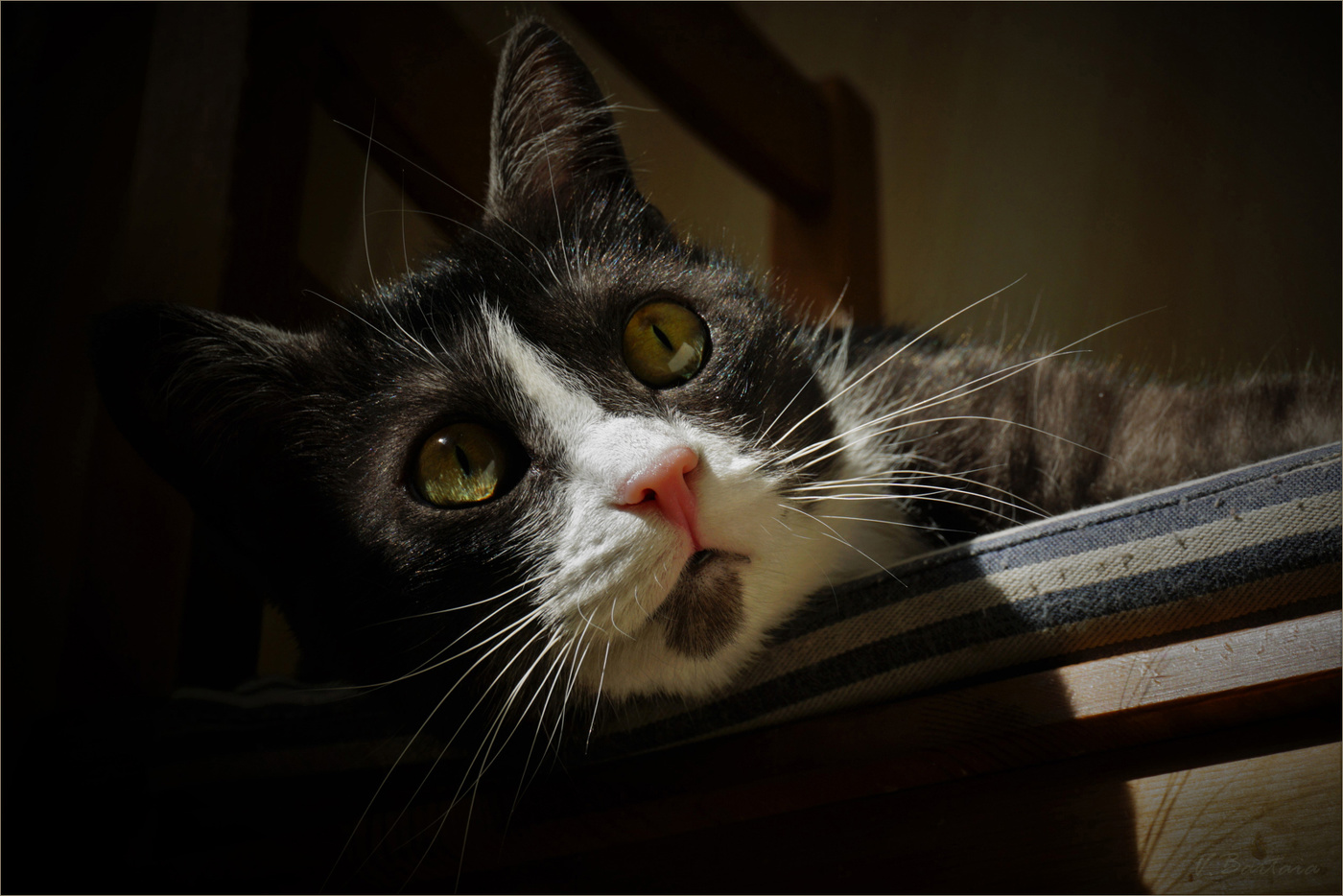 И где ж она жужжит?