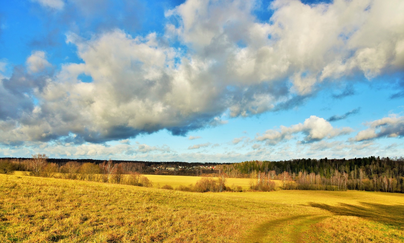 Ноябрь - последний месяц осени ...