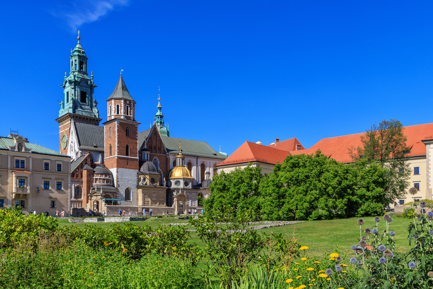 Солнечный день