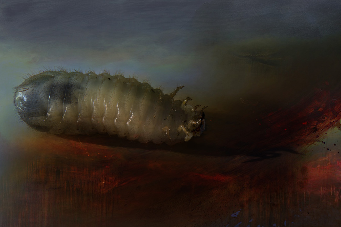 Опрокинутый Икар