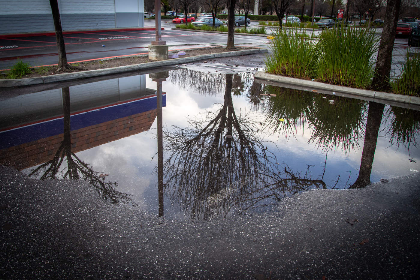 После дождя