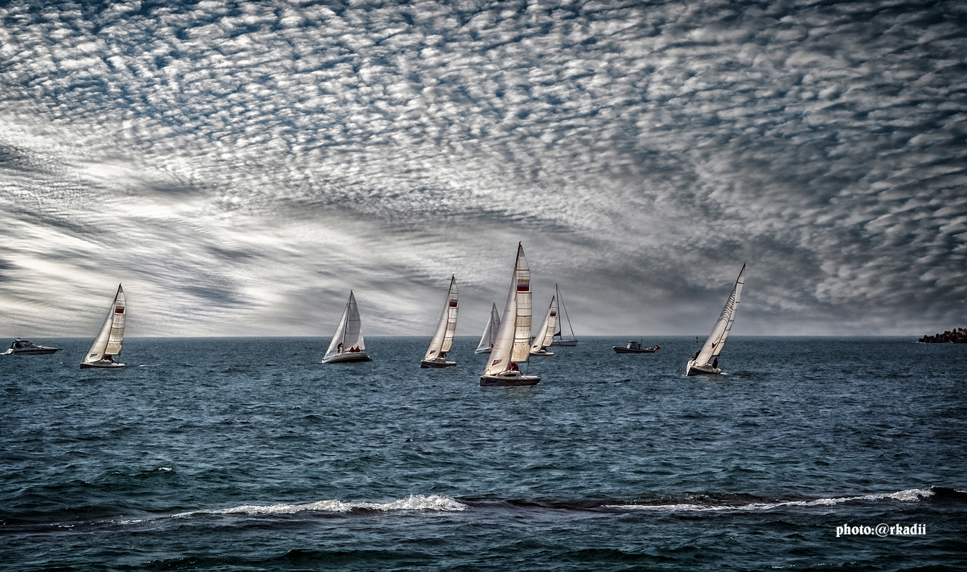 Регата (серия)