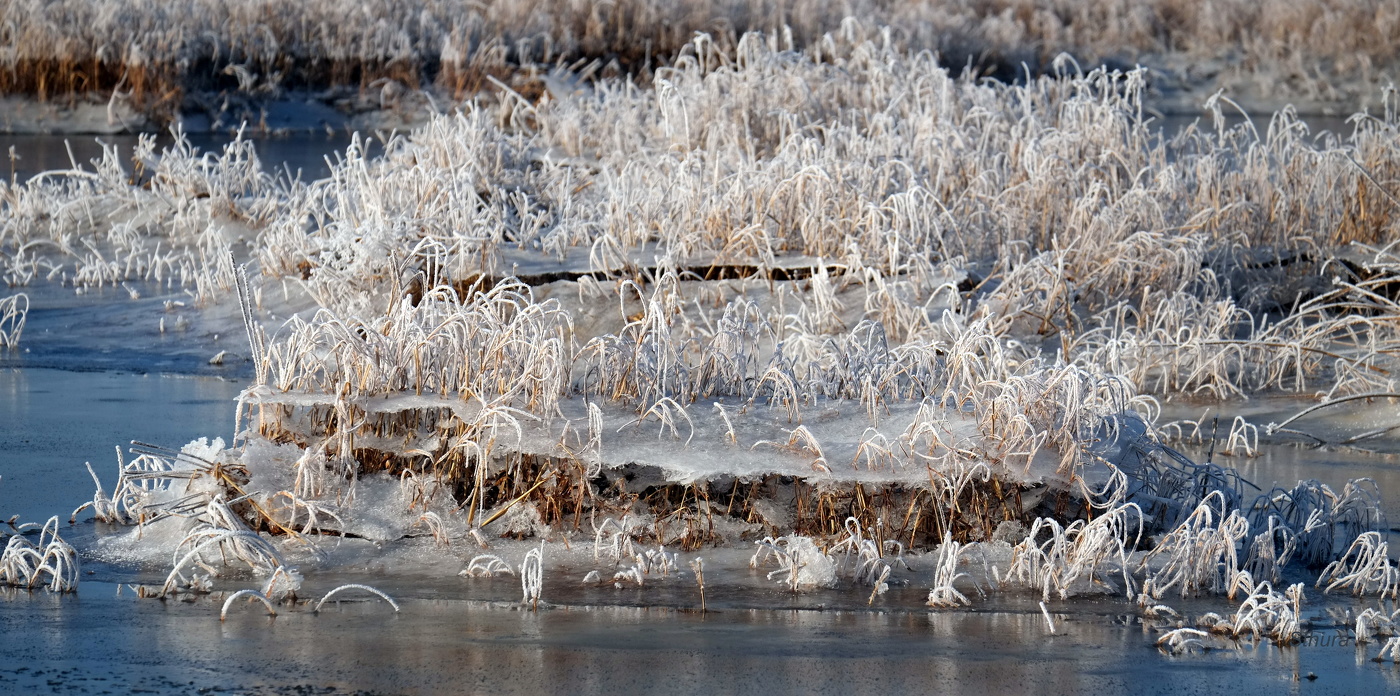 Ещё не зима.