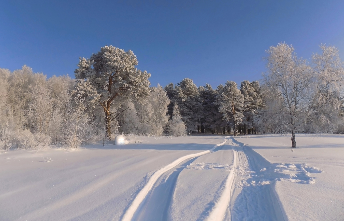 По зимним тропам...