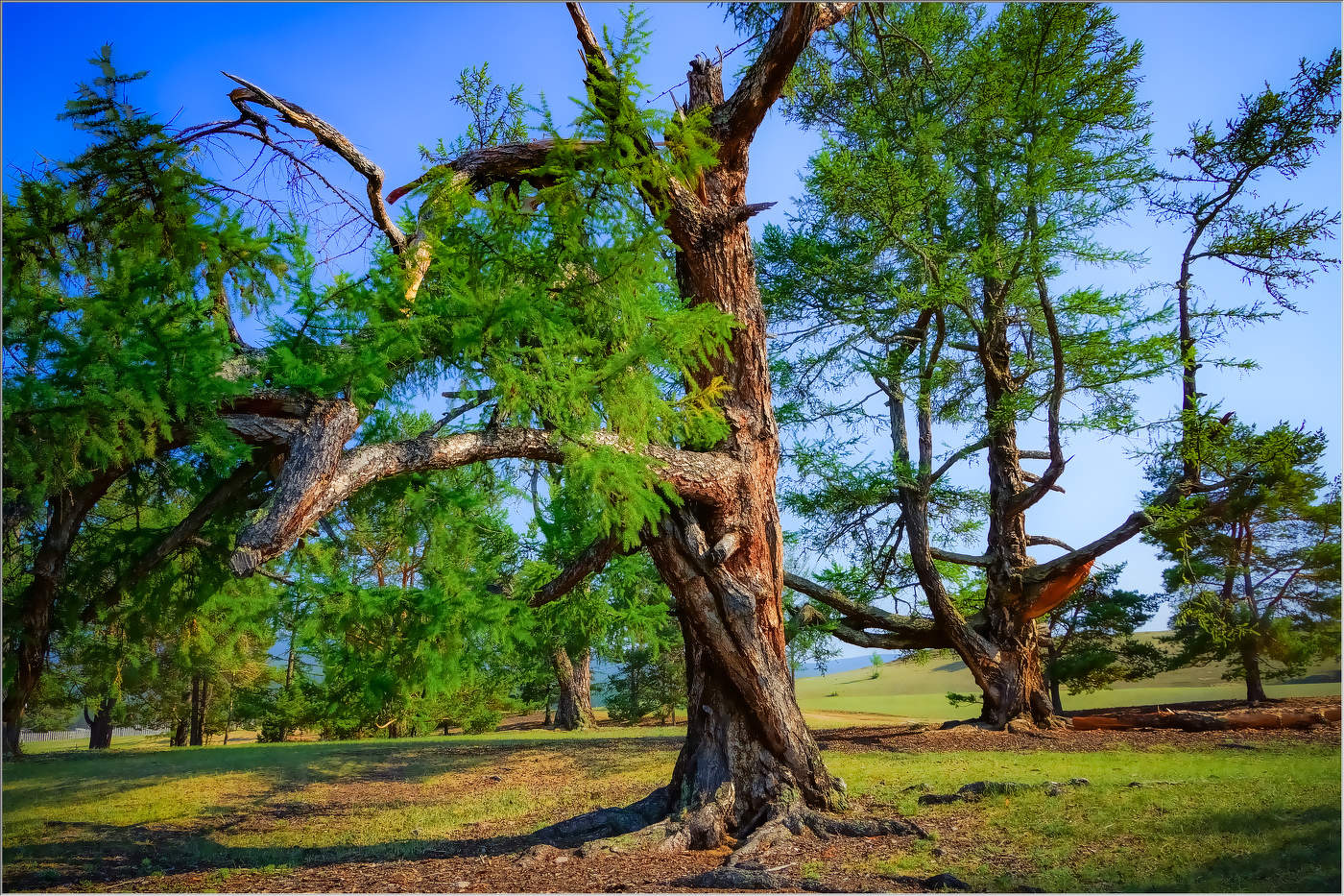 Победа жизни