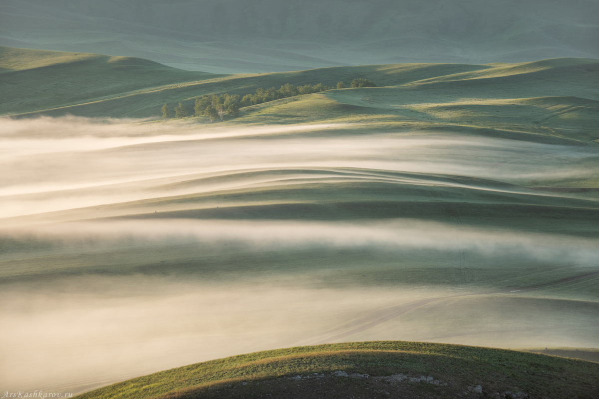 "Степной туман"