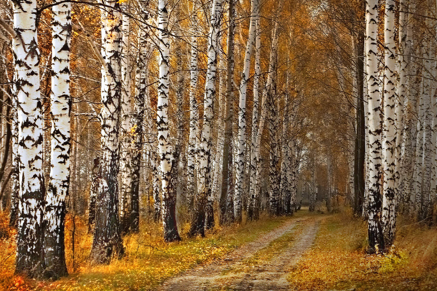 Последняя осень