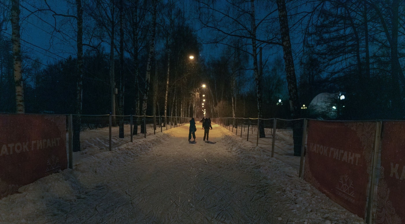 Аллеи в Сокольниках