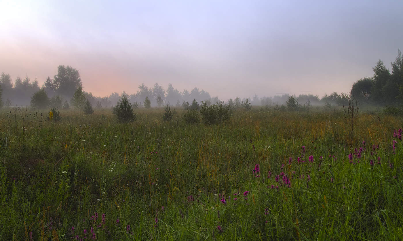 В предрассветный час