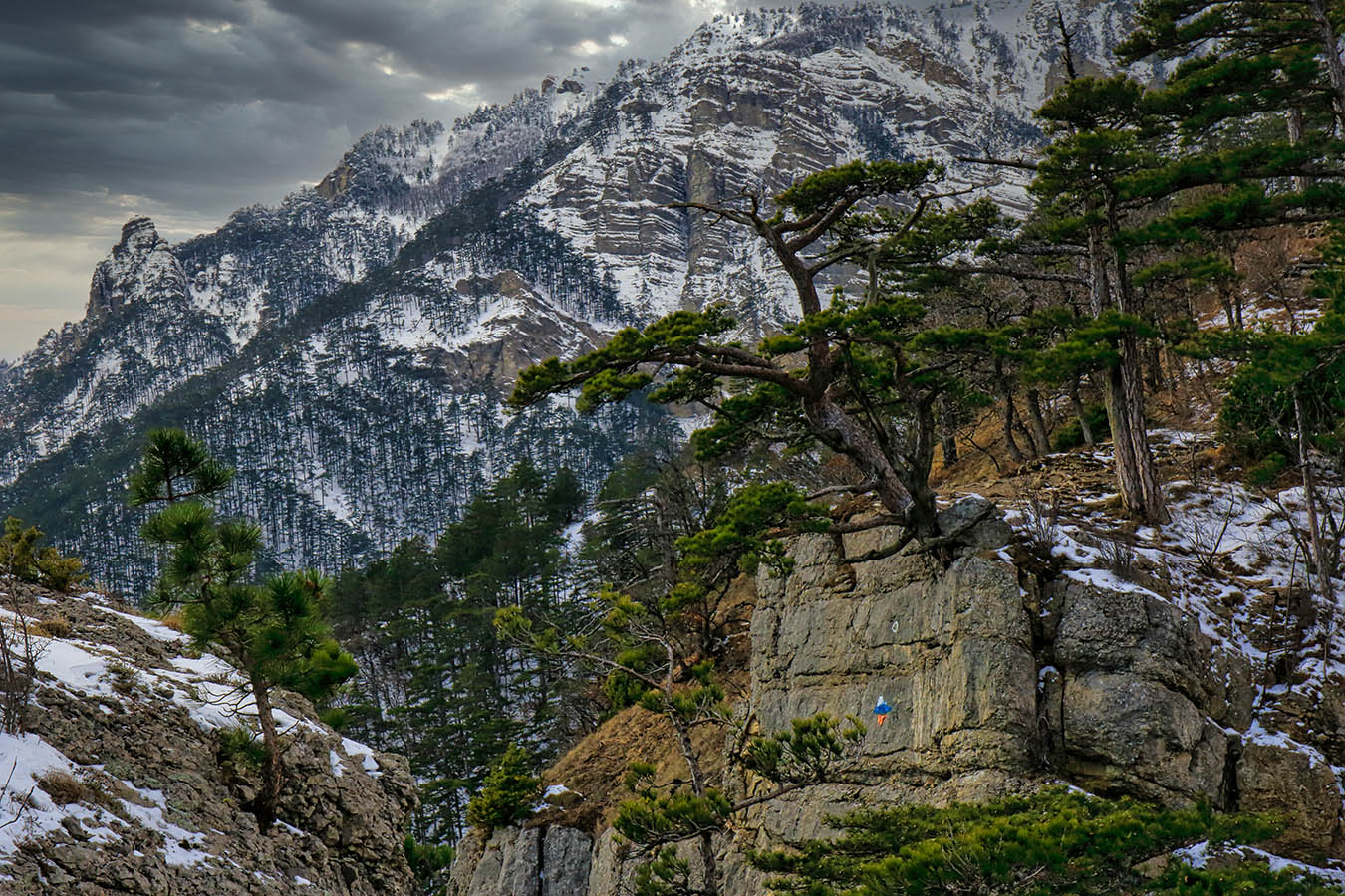 На южнх склонах Ай-Петри