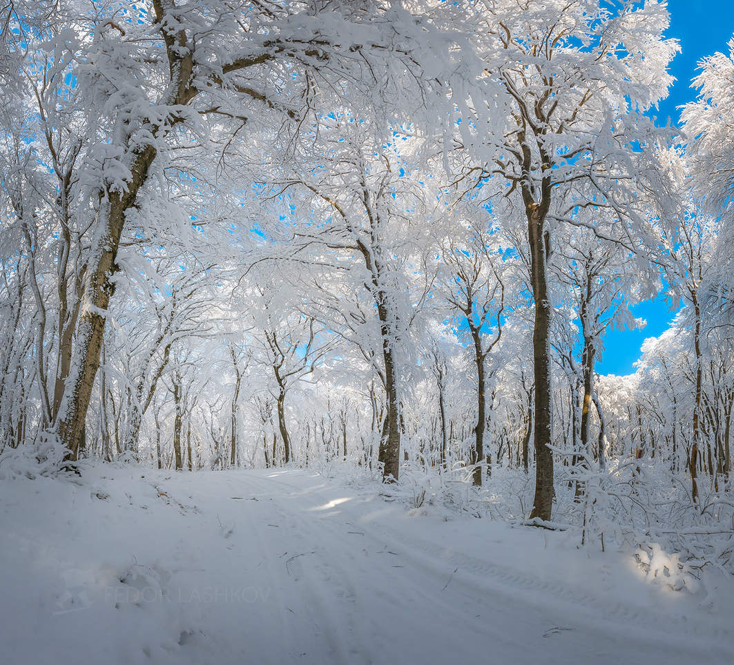 Зимний лес на горе Бештау