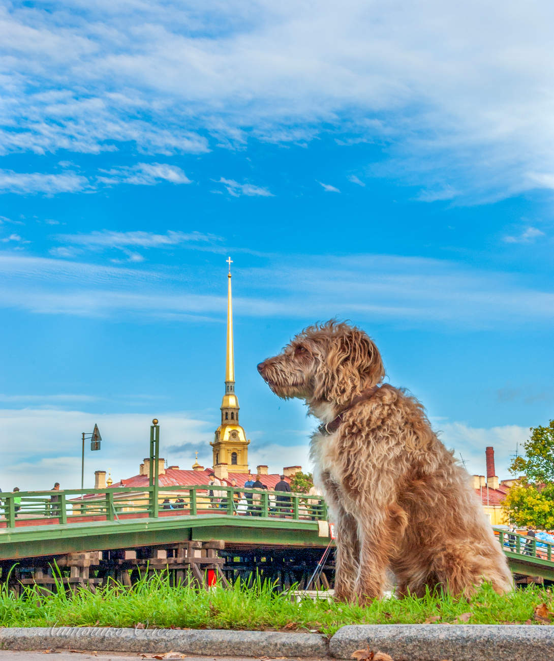 На страже Петеропавловской крепости.