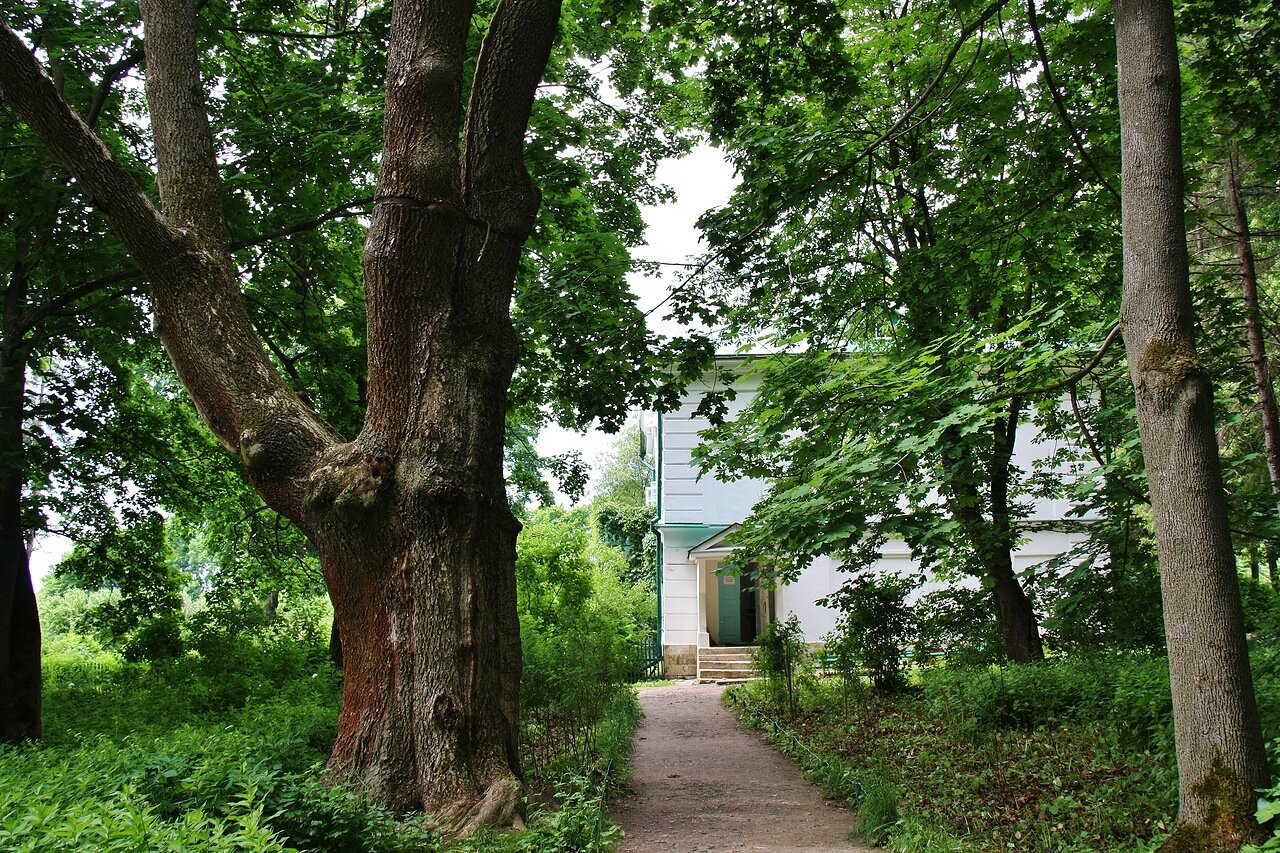 В Ясной Поляне