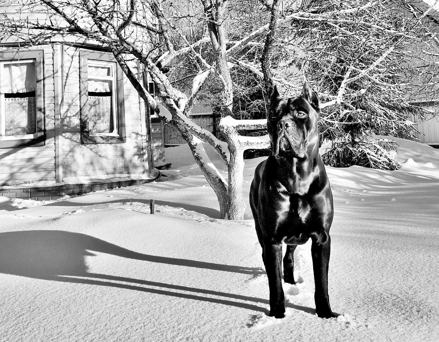 На страже покоя ...