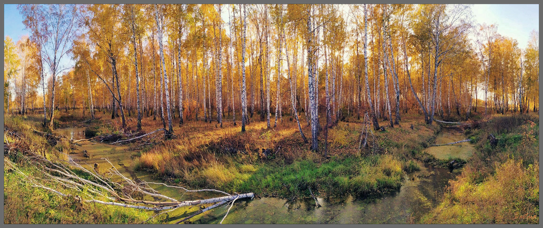 Я помню осень золотую...