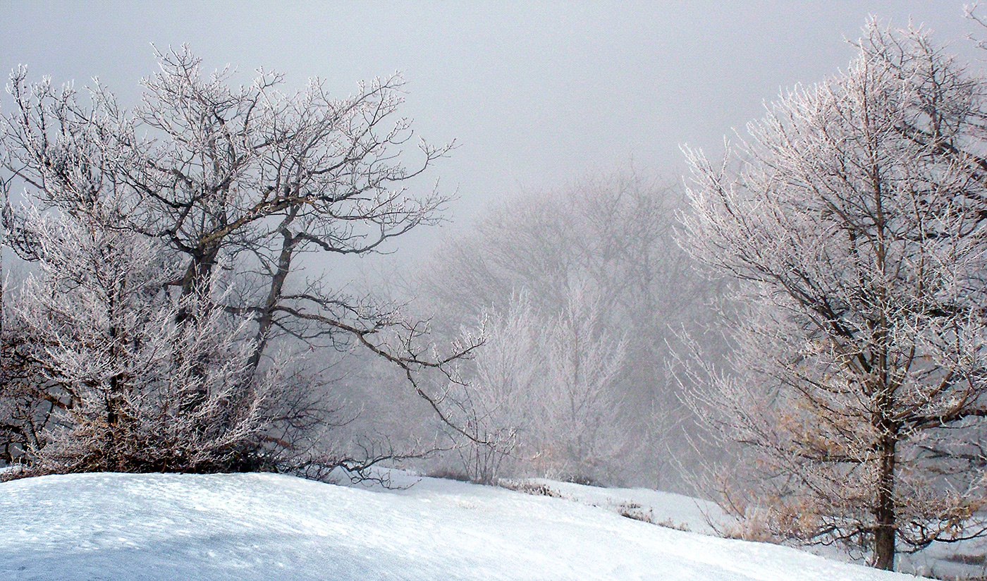 Заснеженная природа